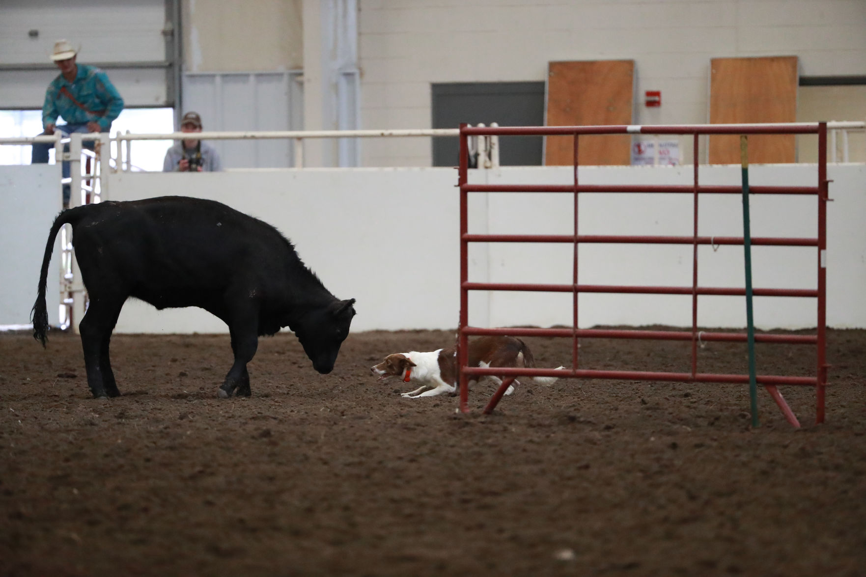 082819_StateFair0031_bjs.jpg